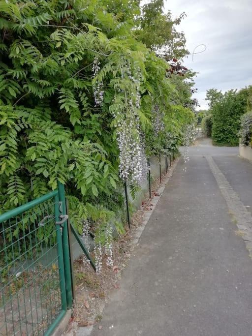 Maison Familiale Sur La Cote D'Emeraude Lancieux Exteriör bild
